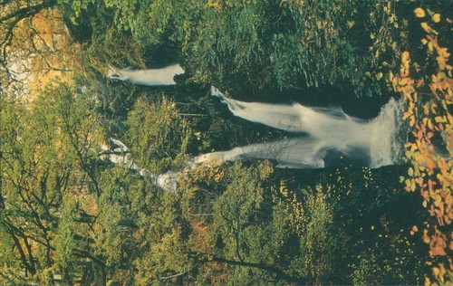 Ambleside stock ghyll force - ambleside,
