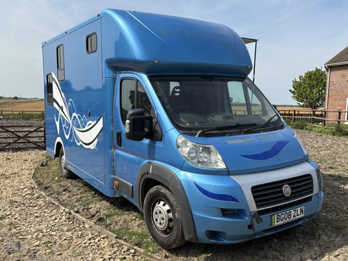 Fiat ducato horse box - fiat,