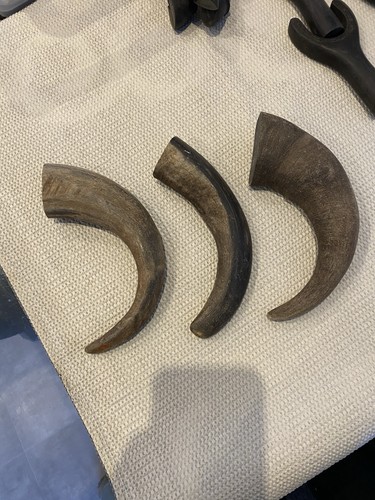 Raw buffalo horn for - horn, walking