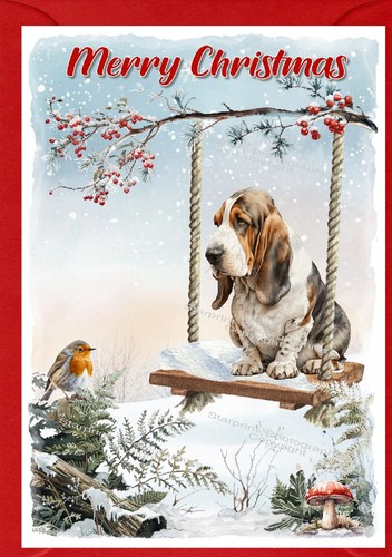 Basset hound dog - basset,