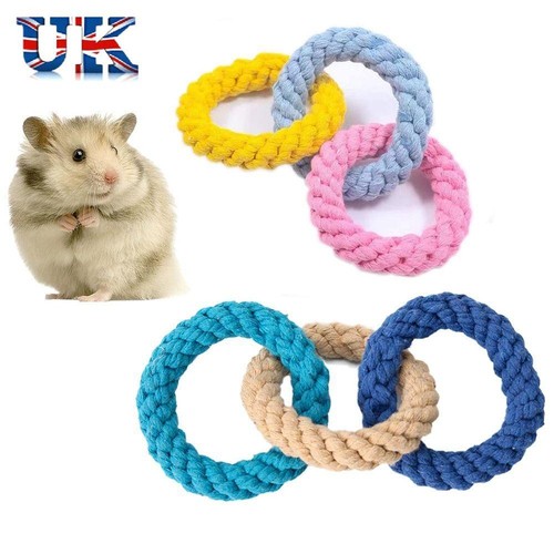 Swing toy hamster - hamster,