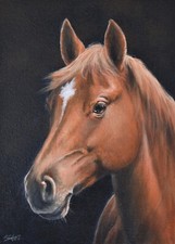 Attractive John Silver