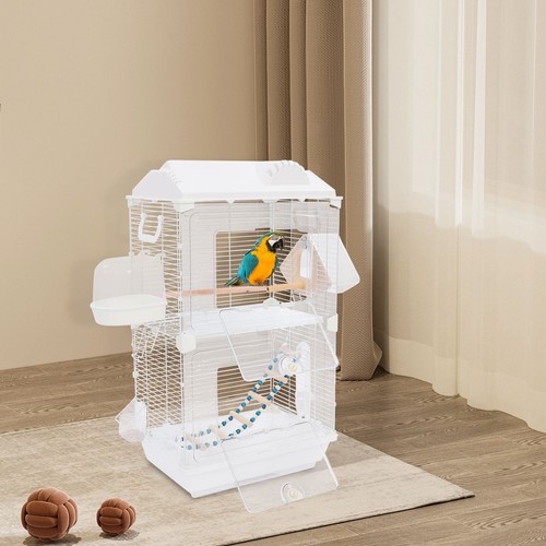 Bird cage double - bird,