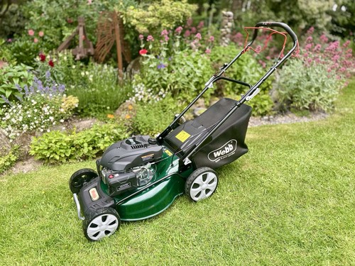 Webb wer510sp 173cc - wer510sp,