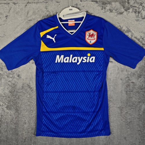 Cardiff city 2012 2013 - cardiff, 2012/2013
