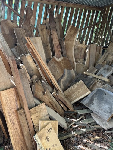 Oak elm ash beech - elm, sweet