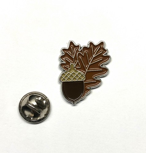 Acorn oak leaf - leaf, pin