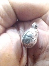 Silver charm . sleeping field mouse 