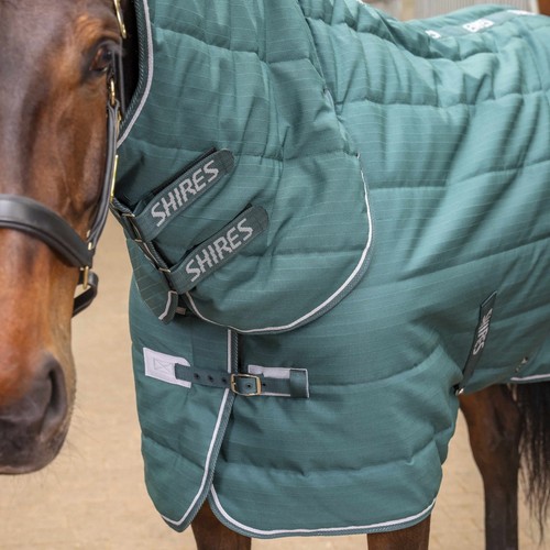 Shires tempest original 200 - shires,