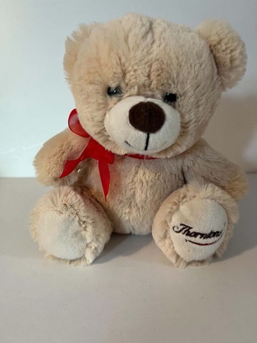 Thorntons teddy bear - teddy,