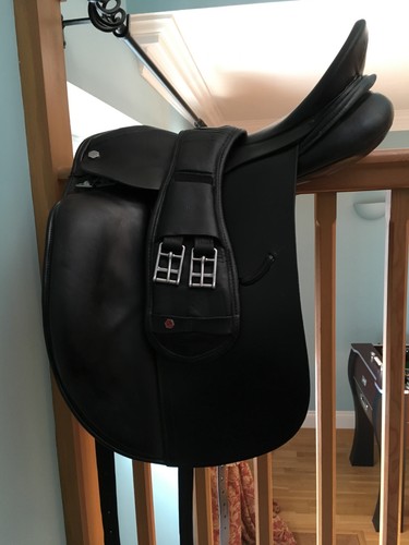 Albion platinum dressage - albion,
