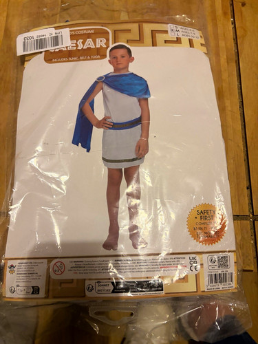 Boys roman caesar - boys, costume