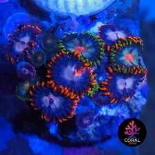 Pinwheels & Steal Your Soul