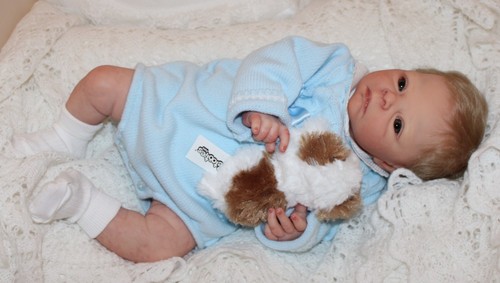 Bears babes reborn - bears,