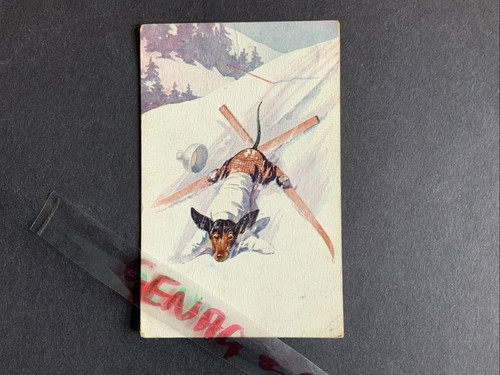 Dachshund ski img accident - ski-img,