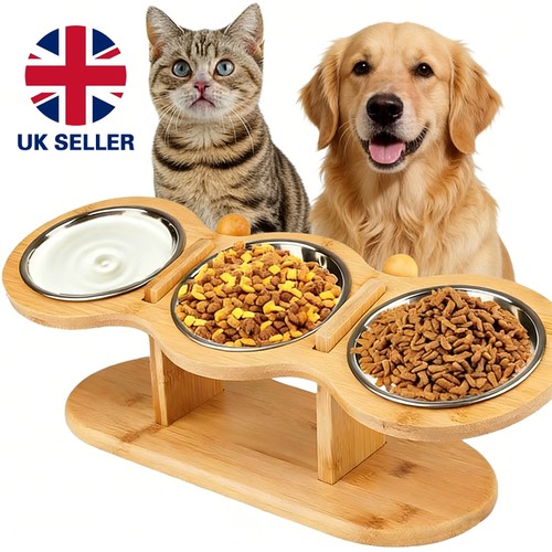 3in1 raised dog bowl - cat, food
