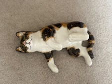 winstanley cat size 4. Tabby