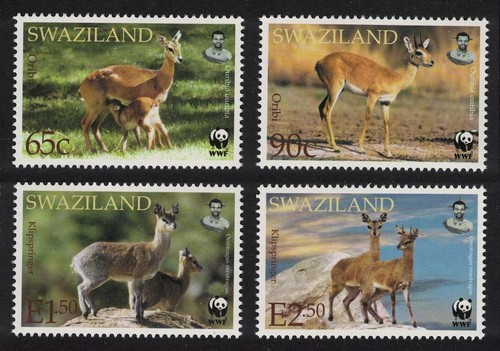 Swaziland wwf klipspringer and - wwf,