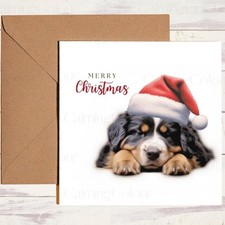 Adorable Bernese Mountain Dog in Santa Hat | Christmas Card