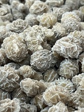 X15 selenite desert roses - x15,