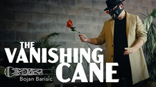 Vanishing Cane (Stage) by