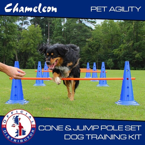 Outdoor dog pet - dog, ex