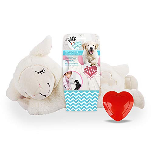 All for paws little - for, buddy