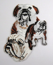 English Bulldog Heat Applied