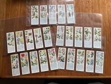 TYPHOO TEA- WILD FLOWERS AND THEIR FAMILIES-COMPLETE SET-In Plastic S. In VGC