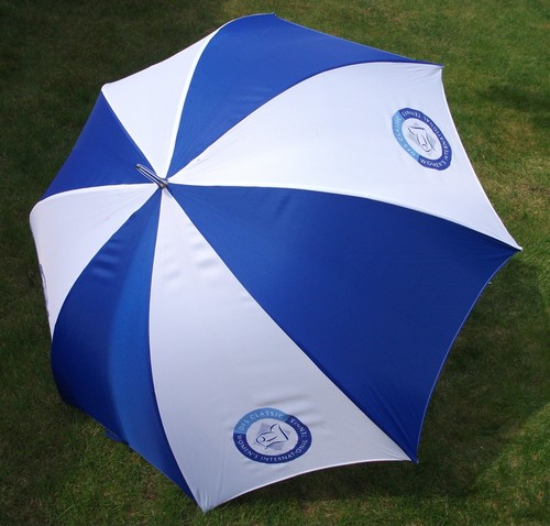 Sports umbrella vintage - sports, dfs