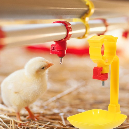 Reusable plastic chicken - plastic,