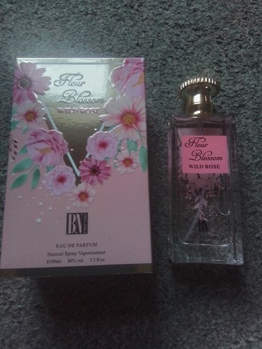 Fleur blossom wild rose - blossom,