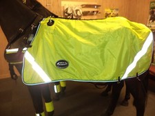 "IDEAL EQUESTRIAN" HORSE/PONY