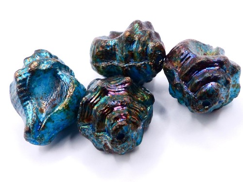15x12mm ocean sea - sea, shell