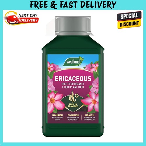 Westland ericaceous high - ericaceous,