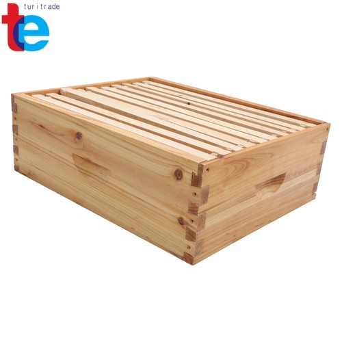 Frame medium box includes - 10,