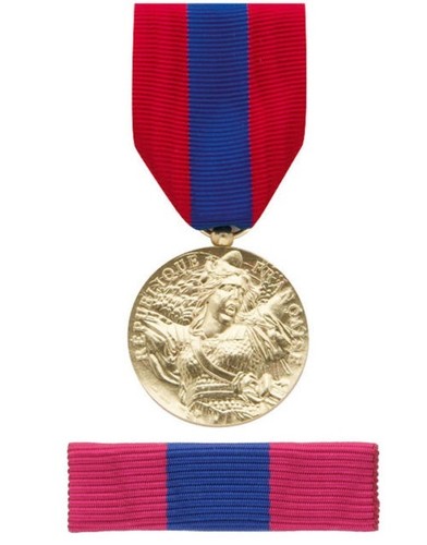 National defence bronze - defence, defnat