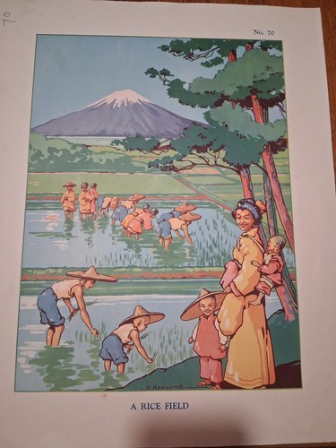 Macmillan vintage educational - vintage,