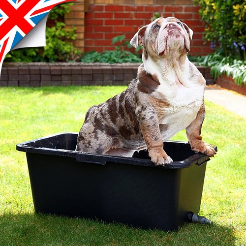 Ideal pet dog cleaning bath - dog,