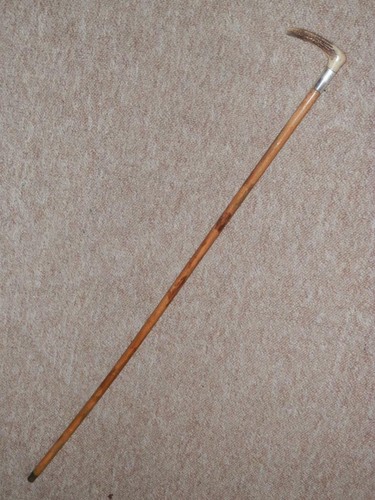 Antique malacca stick cane - antique,