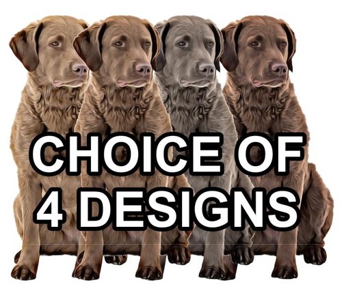 Chesapeake bay retriever self - retriever,