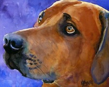 Rhodesian Ridgeback Print of Original Fine Art Watercolor by Ron Krajewski