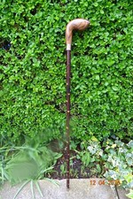 Blackthorn walking stick with