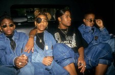 Group Immature arrive in their