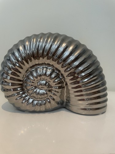 Seashell ammonite fossil - seashell,