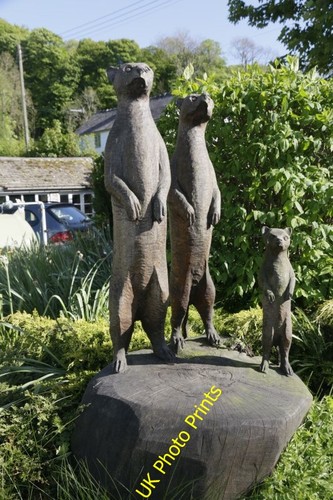Photo 6x4 meerkat - photo, family