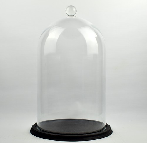Clear circular glass dome with - dome,
