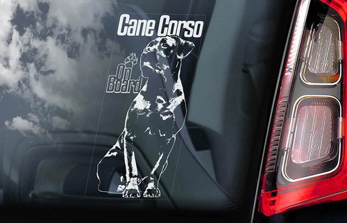 Cane corso car sticker - car,