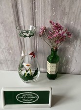 Vintage Portmeirion Botanic Garden Glass Vase Hand Painted Bellis Perennis Daisy