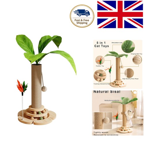Multifunctional cat activity - multifunctional,